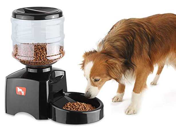 Distributore di cibo per cani