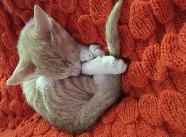 Tessuti che scaldano