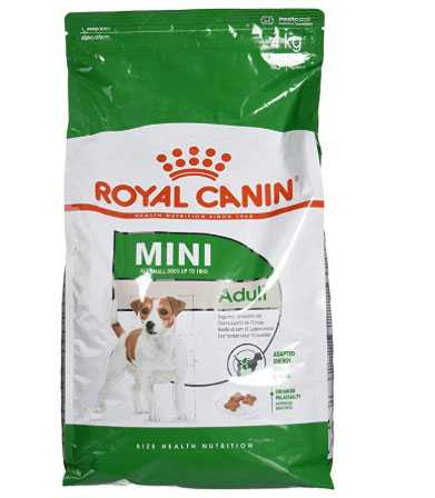 cibo secco cani migliore