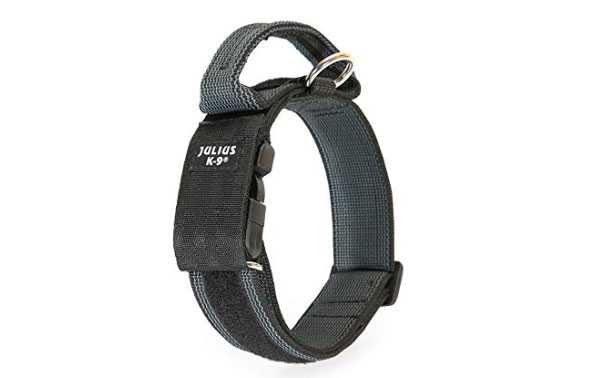 collare cani migliore