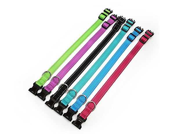 collare cani personalizzato