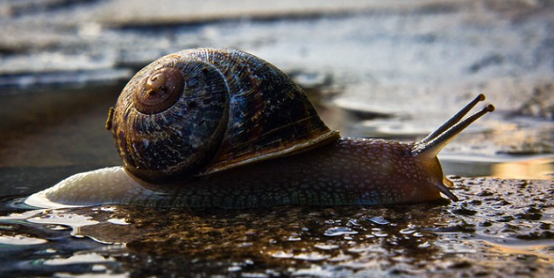 10 consigli per rallentare