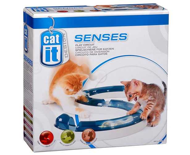 gioco per gatti circuito