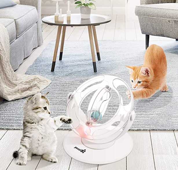 gioco per gatti interattivo