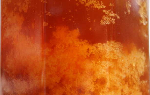 miele cristallizzato