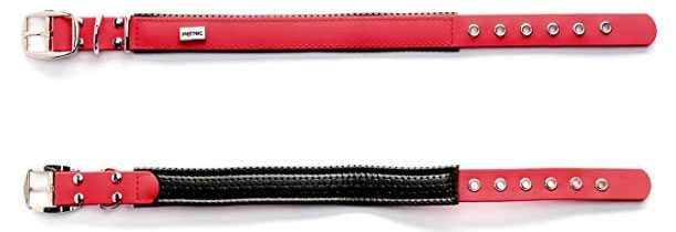 miglior collare cani