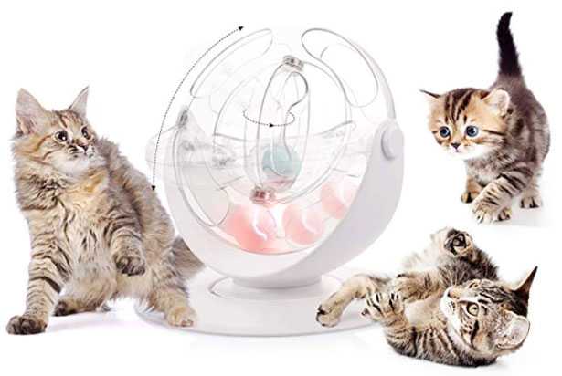 migliori giochi per gatti