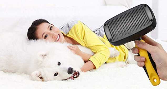 migliori spazzole per cani