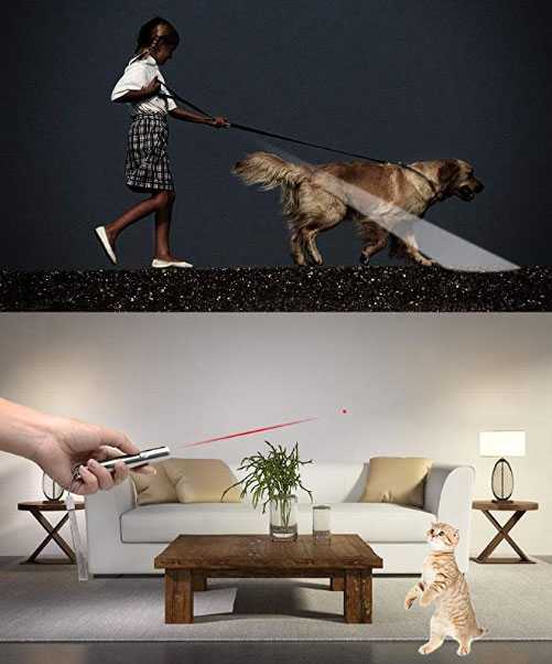 puntatore luminoso per gatti