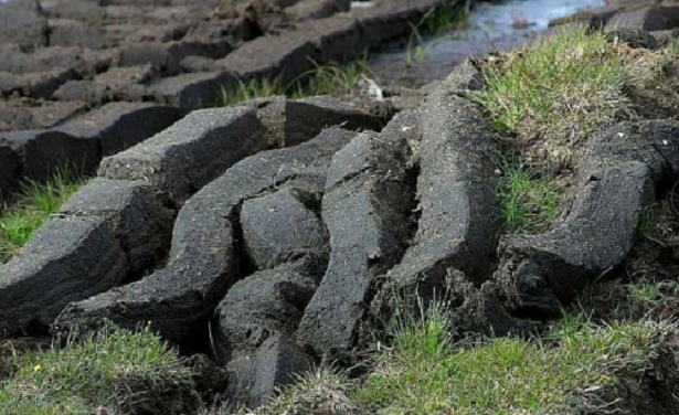 Come si usa la torba