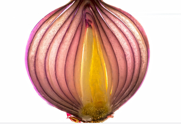 Aglio cipolla e porri