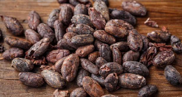 Quali cibi fanno bene al cervello dei bambini Quali cibi fanno bene al cervello dei bambini