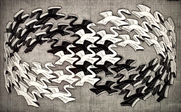 Come funzionano le illusioni ottiche