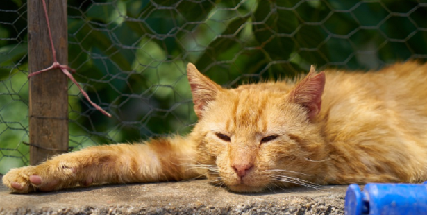 Come rilassarsi nel weekend