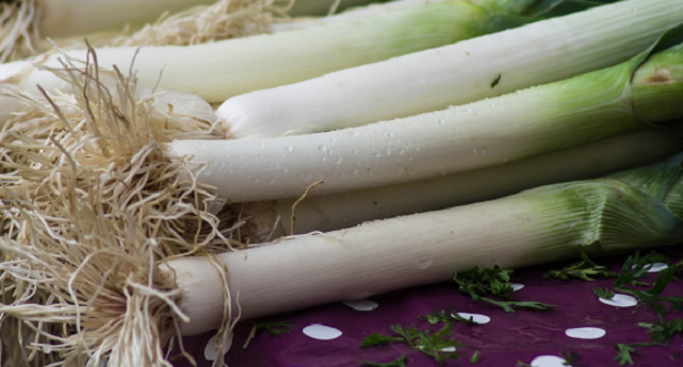 ricette coi porri ricette coi porri