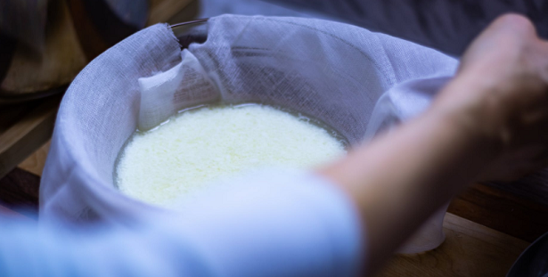 Cheesecake salate vegetariane