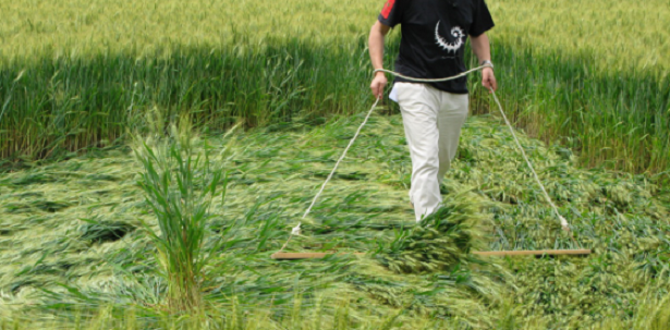 Che cos’è il CICAP