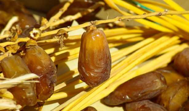 Quando mangiare i datteri