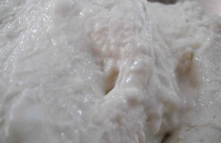 Come creare la pasta madre 