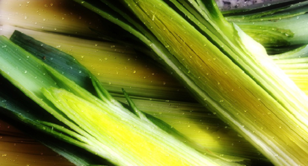 ricette coi porri ricette coi porri