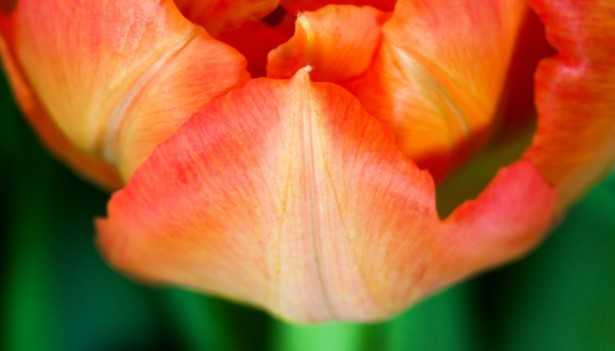 Come costruire nuove abitudini sane Come costruire nuove abitudini sane