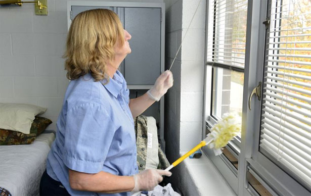 badanti colf possono lavorare