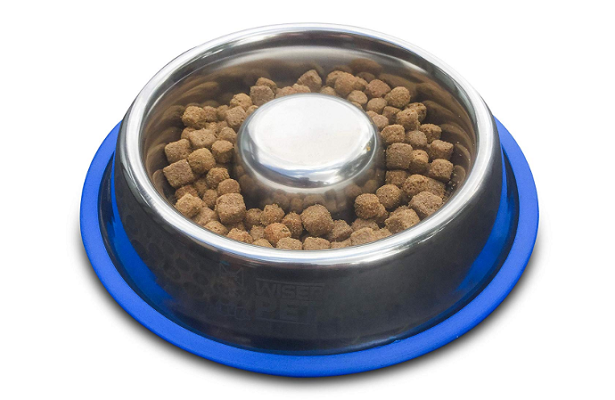 Ciotole anti ingozzamento per cani