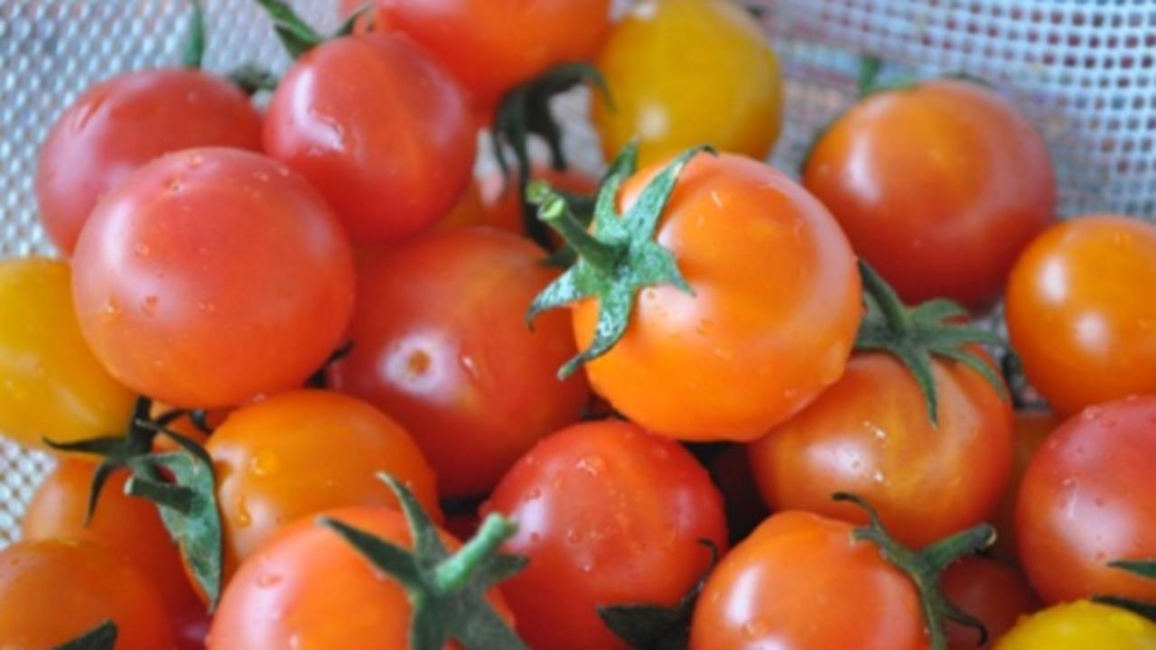 Cosa Coltivare Sul Balcone A Maggio Idee Green