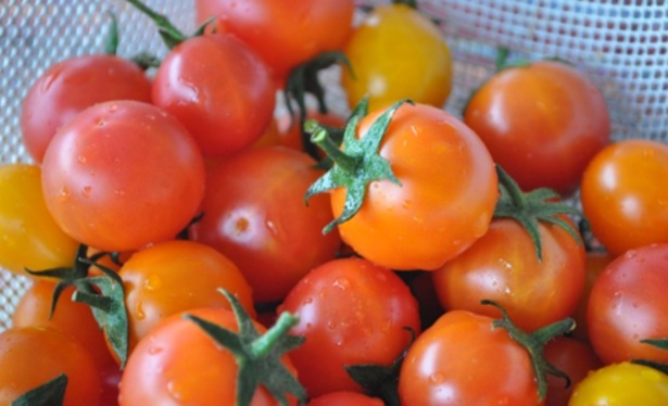 Cosa coltivare sul balcone a maggio
