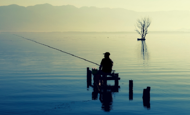 Come coltivare la pazienza in casa