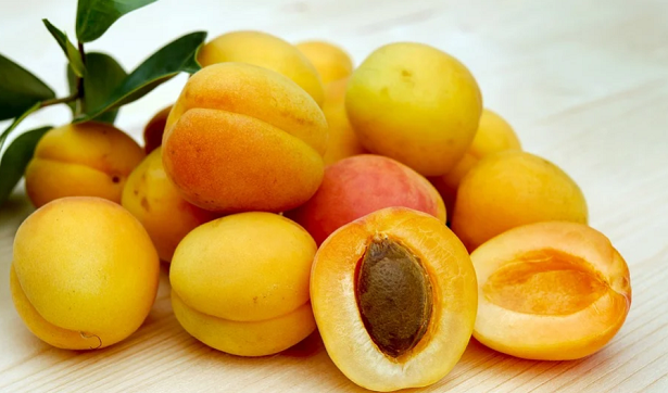 Albicocche