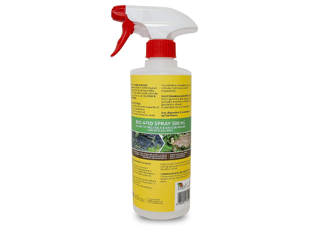 anti afidi sedum palmeri 