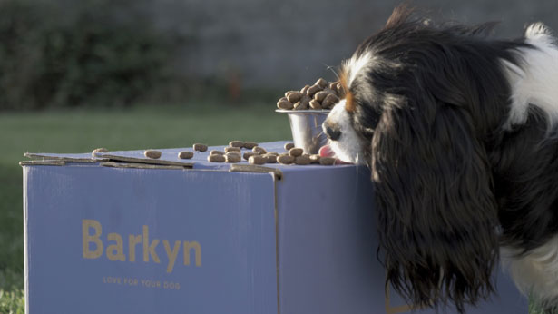 cibo personalizzato cani