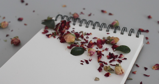 libro dei ricordi libro dei ricordi