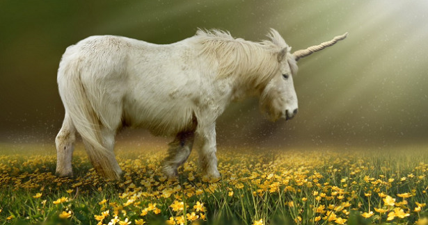 animali mitologici unicorno