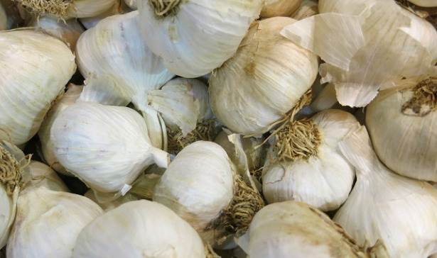 Mangiare aglio crudo