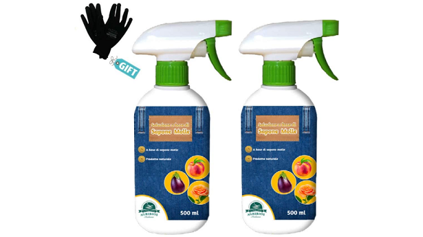 phormium insetticida cocciniglia