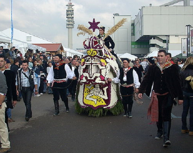 Cavallo Siciliano da tiro