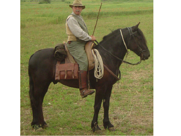 Cavallo Tolfetano lazio