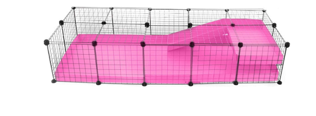 gabbia coniglio polacco gabbia coniglio polacco