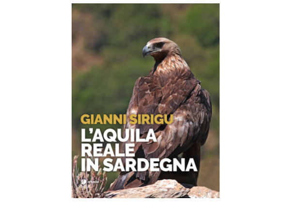 libro aquila reale libro aquila reale