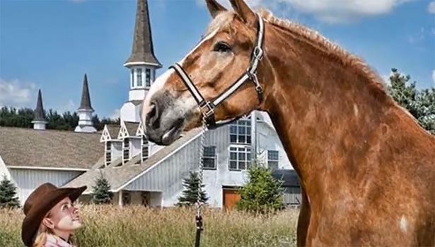 Jake Cavallo più grande del mondo