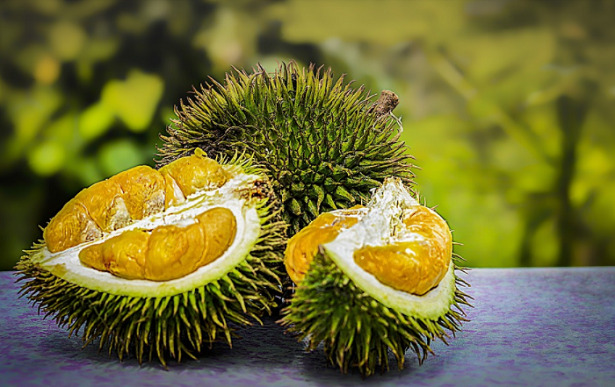 durian polpa durian polpa