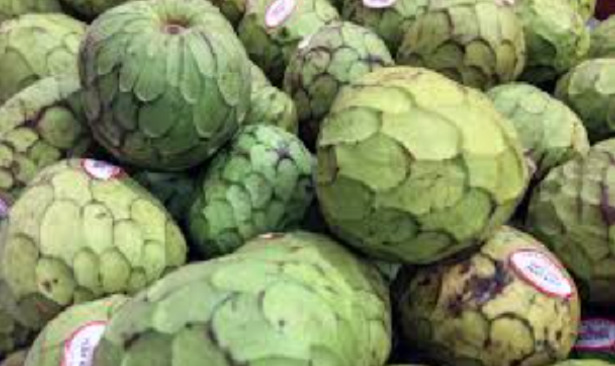 Cherimoya frutto Cherimoya frutto
