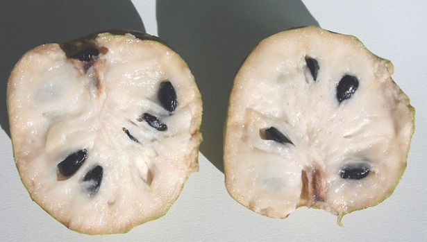 Cherimoya polpa Cherimoya polpa