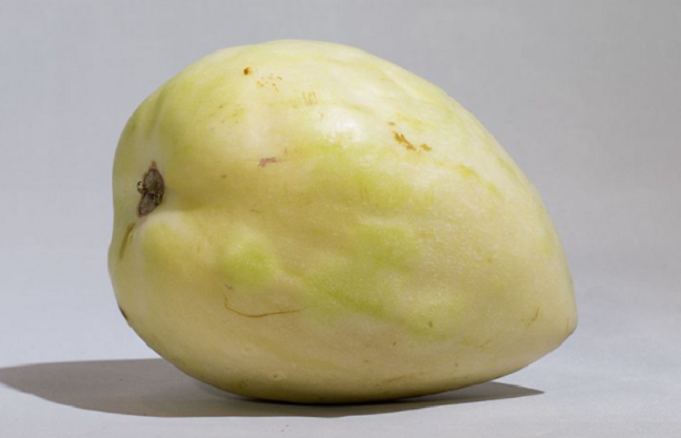 pepino frutto pepino frutto