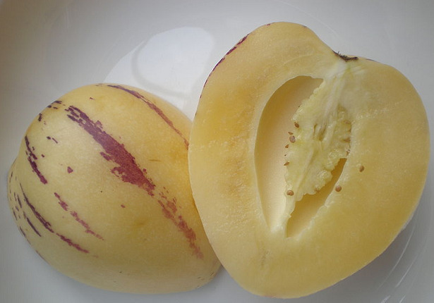 pepino polpa pepino polpa