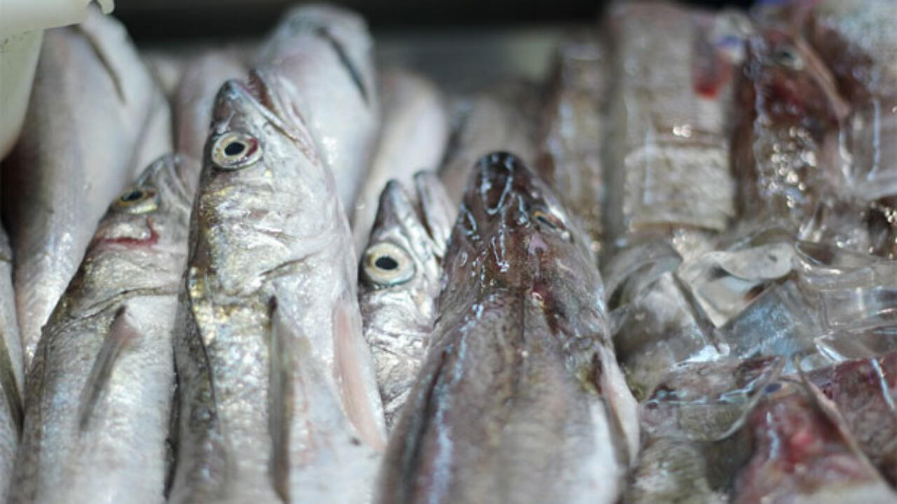 Pesce surgelato: alimento naturale sano con tanti vantaggi - Idee Green