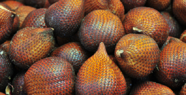 salak frutti salak frutti