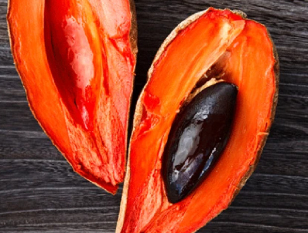 sapote seme sapote seme